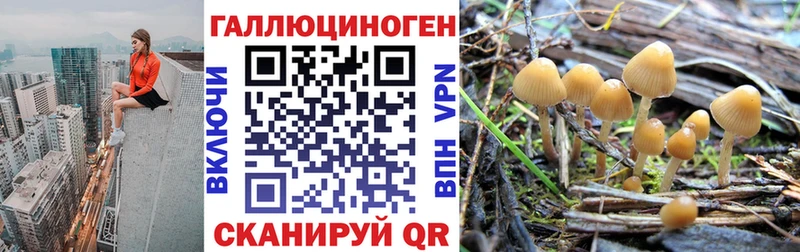Галлюциногенные грибы Cubensis  shop клад  Колпашево 